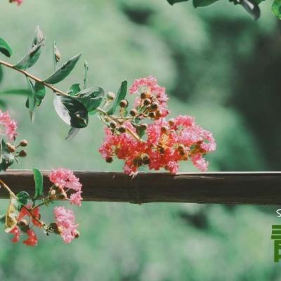 球探比分旧版大全