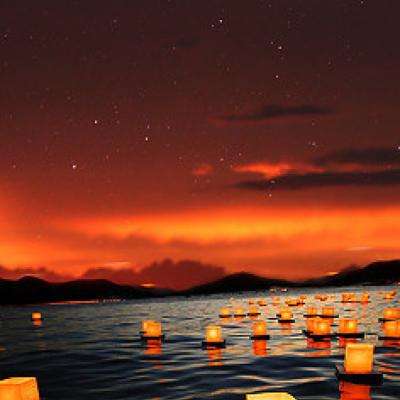 BOB体育综合app官网入口