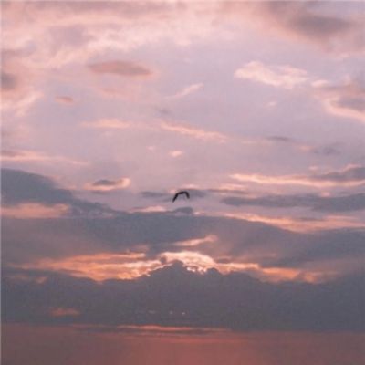 星空体育在线网页版截图