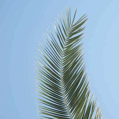 博鱼app体育官方正版下载